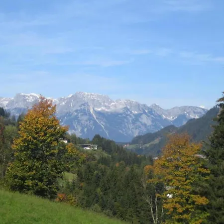 Appartement In Near Centre