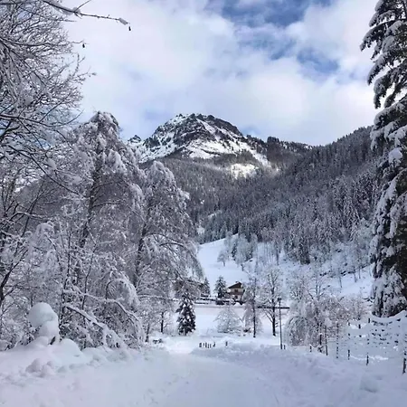 Near Slopes Niedernsill