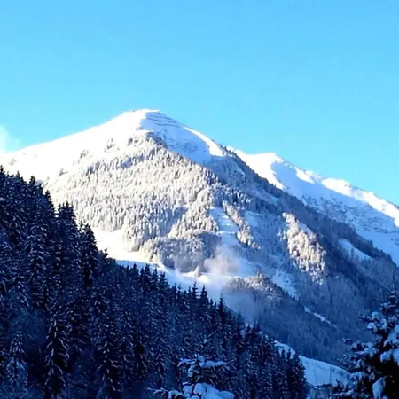 Appartamento Near Slopes Niedernsill
