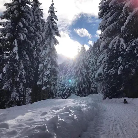 Near Slopes